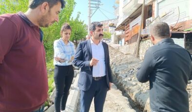 Kulp Belediye eşbaşkanı çalışmaları denetledi