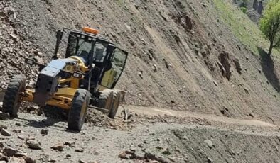 Kulp’ta heyelan nedeniyle kapanan köy yolları açıldı