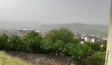Toz taşınımı Kulp ilçesini de olumsuz etkiliyor