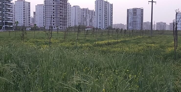 Kayapınar’da Yeni Açılan Orman Parkı Bakımsızlıkla Boğuşuyor