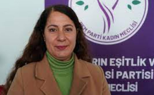 DEM Parti Yenişehir Belediye Başkanı Safiye Akdağ kimdir?