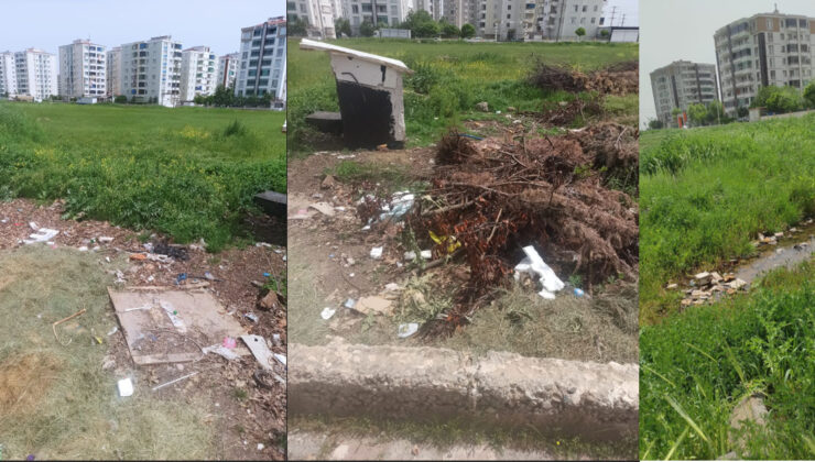 Bağcılar Mahallesi’nde Akrep ve Yılan Korkusu: Vatandaşlar Çözüm İstiyor