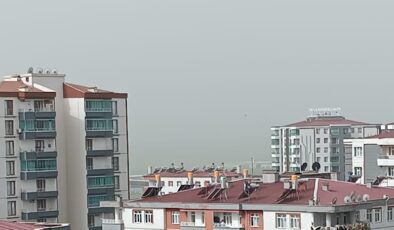 Diyarbakır’da  toz taşınımı hayatı olumsuz etkiliyor