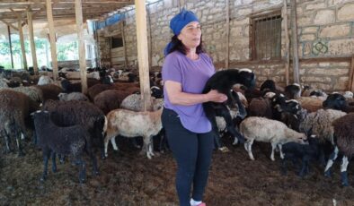 10 koyunla başladı, şimdi kendi işinin patronu oldu