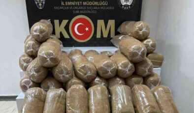 425 kilo kaçak tütün ele geçirildi