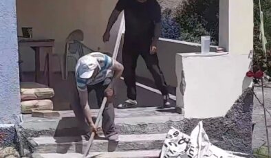Havalar ısındı, yılanlar evlere girmeye başladı