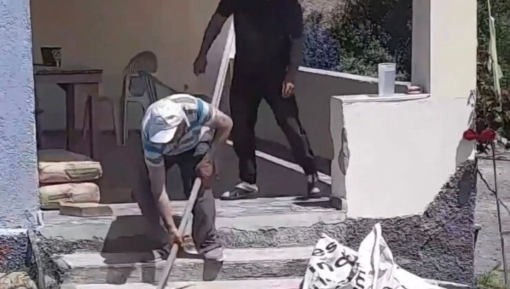 Havalar ısındı, yılanlar evlere girmeye başladı