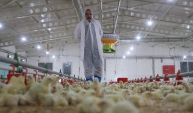25 yıl basın sektöründe çalıştı, çiftlik kurdu