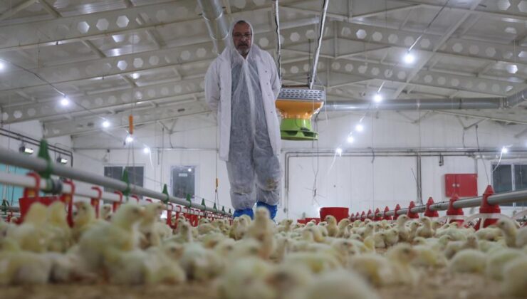 25 yıl basın sektöründe çalıştı, çiftlik kurdu