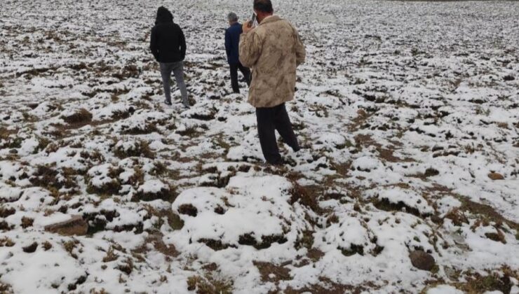 Adilcevaz’ın yüksek kesimleri beyaza büründü