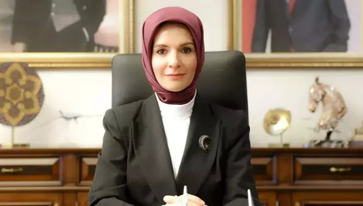 Mayıs ayında  878 milyon TL  SED ödemesi yapıldı