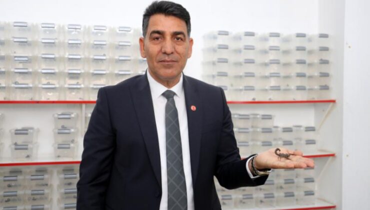 Akrep üreticisinden ABD’li profesöre tepki