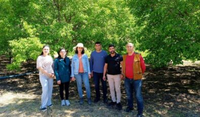 Tunceli’de dut üretimine ani sıcaklık darbesi