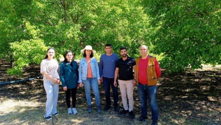 Tunceli’de dut üretimine ani sıcaklık darbesi