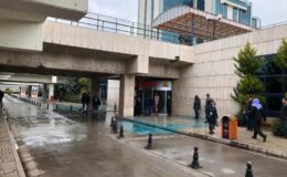 Bal arısının soktuğu adam komaya girdi