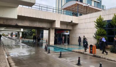 Bal arısının soktuğu adam komaya girdi