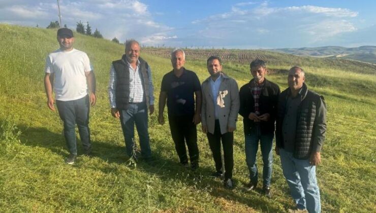Batman’da dolu ve sağanak tarım arazilerini vurdu