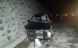 Bingöl’de otomobil, başıboş ata çarptı: 1 ölü, 5 yaralı