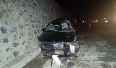 Bingöl’de otomobil, başıboş ata çarptı: 1 ölü, 5 yaralı
