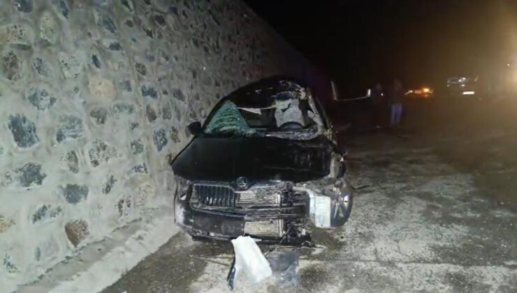 Bingöl’de otomobil, başıboş ata çarptı: 1 ölü, 5 yaralı