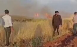 Binlerce dönümlük arpa tarlası yanmadan vatandaşlar yetişti