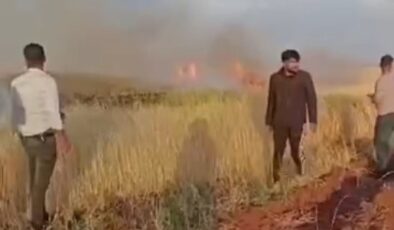 Binlerce dönümlük arpa tarlası yanmadan vatandaşlar yetişti