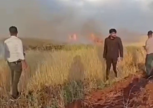Binlerce dönümlük arpa tarlası yanmadan vatandaşlar yetişti
