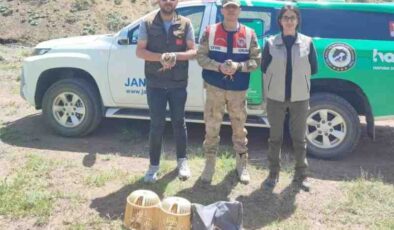 Bitlis’te kaçak avcılara yüksek ceza kesildi