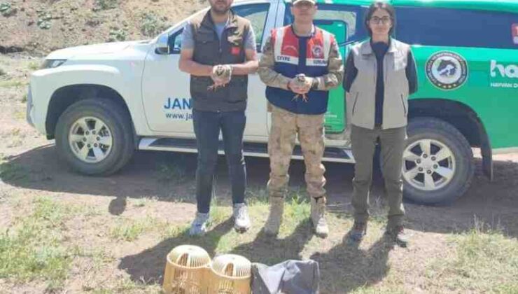 Bitlis’te kaçak avcılara yüksek ceza kesildi