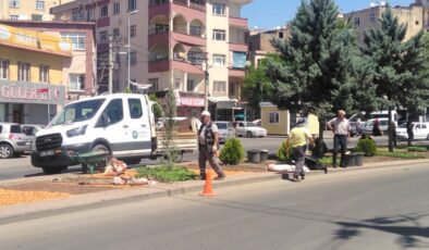 Cemiloğlu caddesinde ağaçlandırma çalışmaları başladı