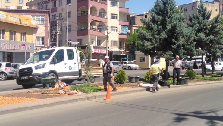 Cemiloğlu caddesinde ağaçlandırma çalışmaları başladı