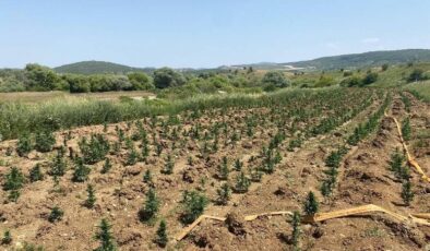 Diyarbakır’da büyük uyuşturucu operasyonu