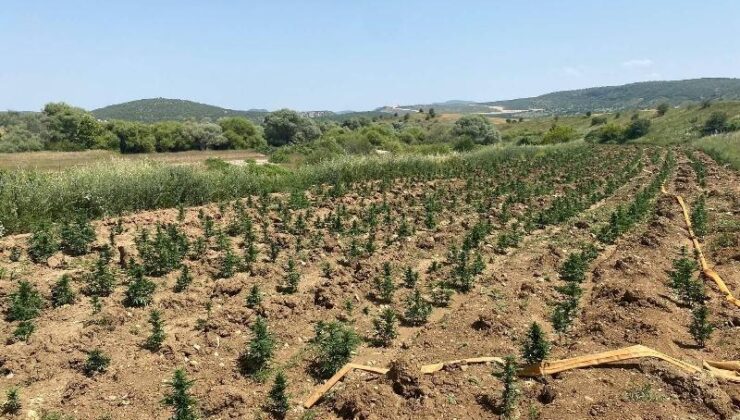 Diyarbakır’da büyük uyuşturucu operasyonu