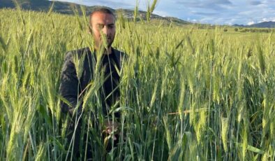 Diyarbakır’da Ata tohumu çiftçinin umudu oldu