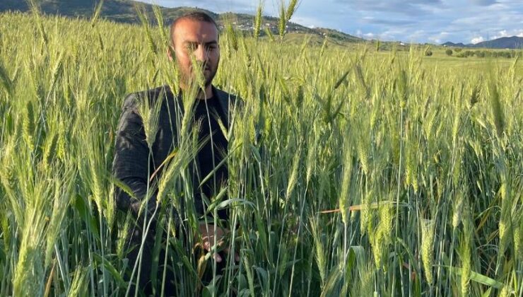 Diyarbakır’da Ata tohumu çiftçinin umudu oldu