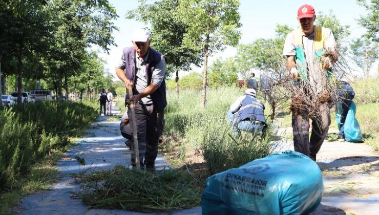 Diyarbakır’da millet bahçesinde bakım çalışması