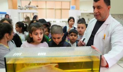 Diyarbakır’daki zooloji müzesine çocuk ilgisi