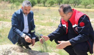 Elazığ’da Amerikan tuz çalısı başarı sağladı