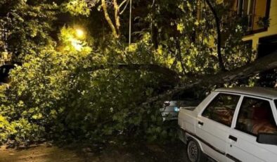 Elazığ’da fırtına, araçların üzerine ağaç devrildi