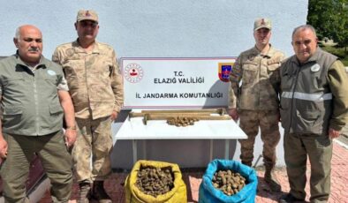 Elazığ’da salep bitkisi toplayan 4 kişiye idari para cezası uygulandı