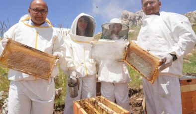 Erzincan’da 100 bin üzeri kolonide 1 milyon kilogram bal