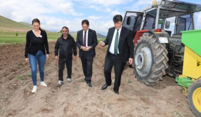 Erzurum’da mor patates ekimi gerçekleştirildi