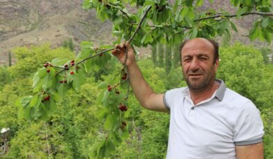 Erzurum’un dağlarında kar, bağlarında kiraz var