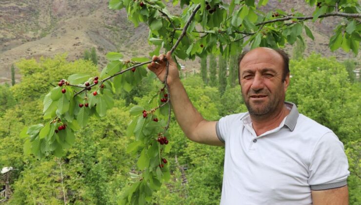 Erzurum’un dağlarında kar, bağlarında kiraz var