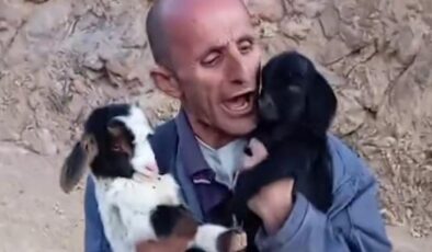 Fenomen çobanın hayvan sevgisi gülümsetiyor