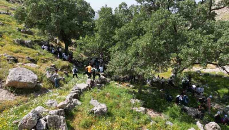 Güçlükonak’ta doğa ve su sporları festivali