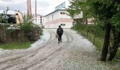 Hizan’da dolu yağışı hayatı olumsuz etkiledi