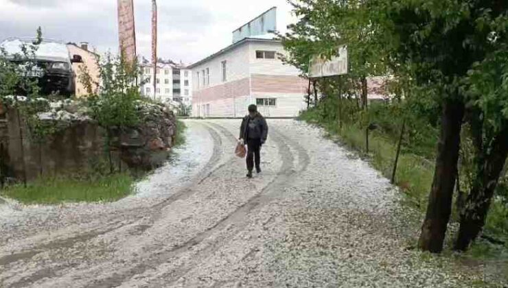 Hizan’da dolu yağışı hayatı olumsuz etkiledi