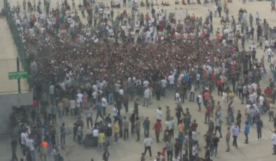 Amedspor bilet satışında izdiham yaşandı