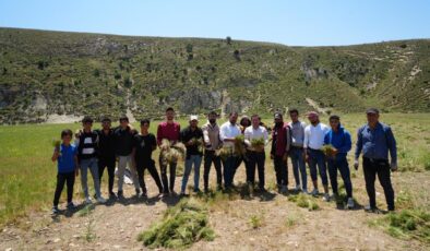 Kilis’te kimyon hasadı başladı